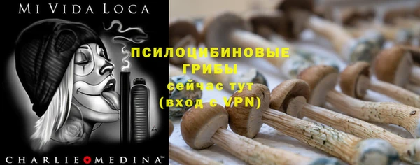 ALPHA-PVP Верхний Тагил