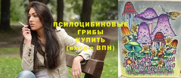 экстази Бородино