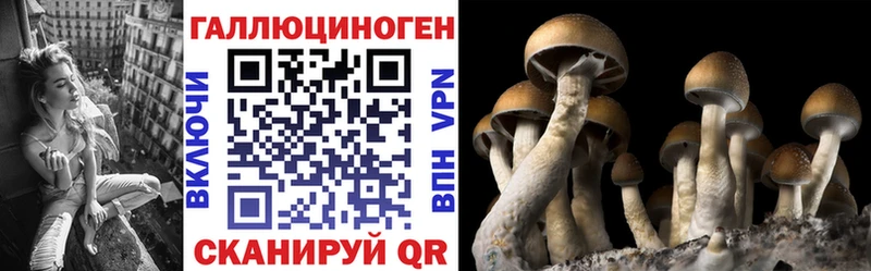 Галлюциногенные грибы MAGIC MUSHROOMS  блэк спрут вход  площадка как зайти  Нея 